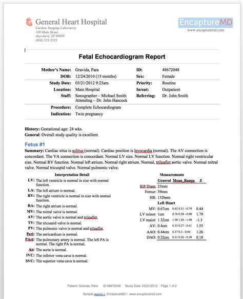 normal echocardiography report|Echocardiogram (Echo) .